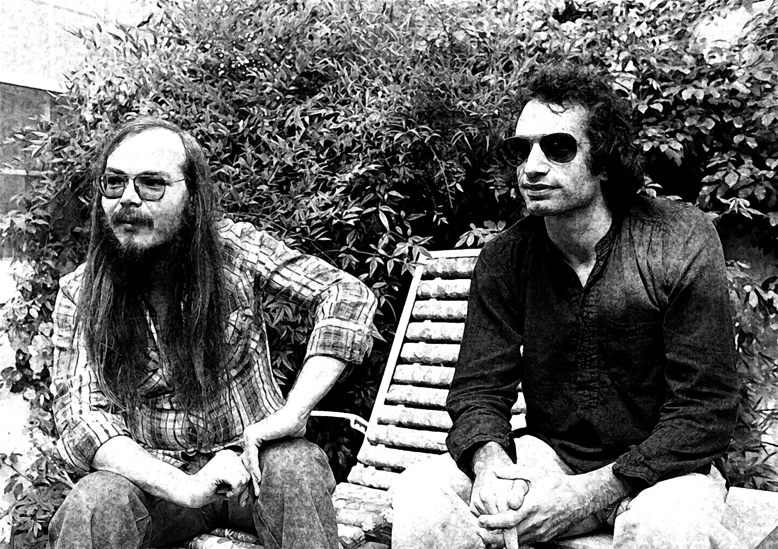 steely dan